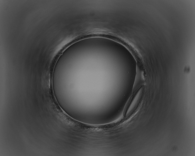X0000091671317200708301451