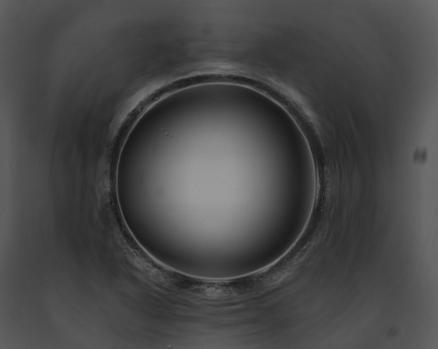 X0000091671318200708301451