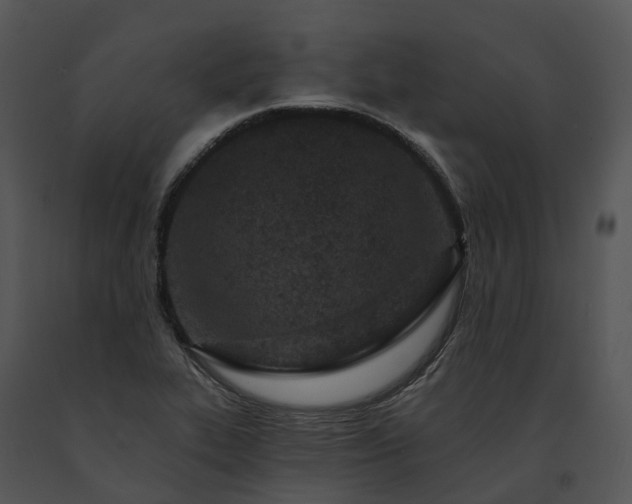 X0000091671319200708301451