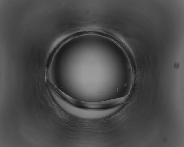 X0000091671320200708301451