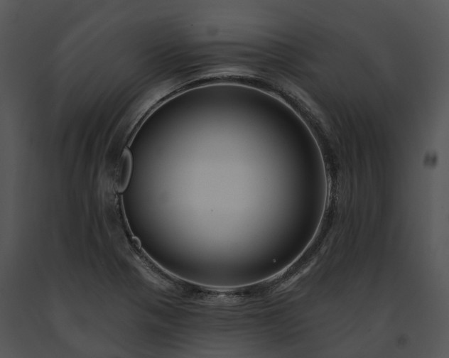 X0000091671321200708301451