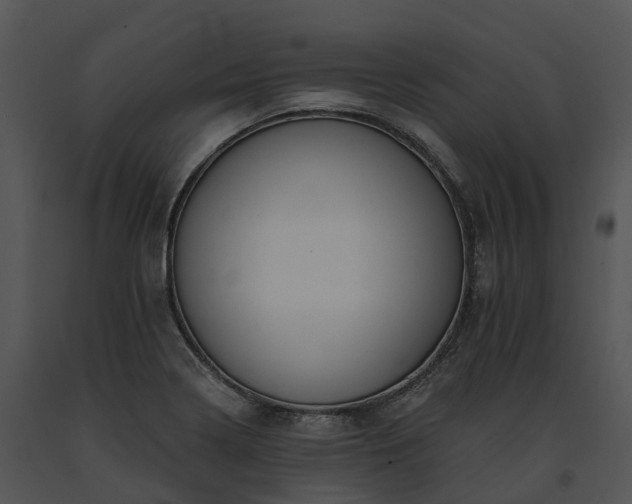X0000091671322200708301451