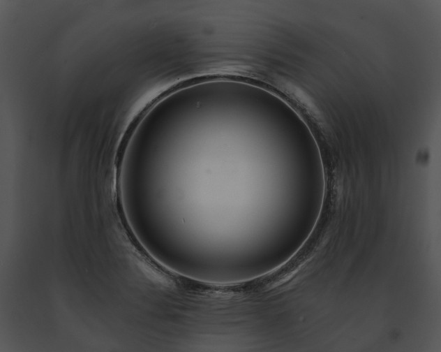 X0000091671324200708301451