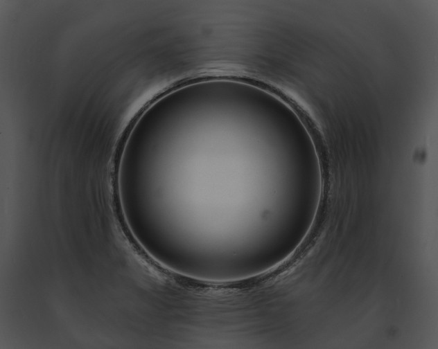 X0000091671325200708301451