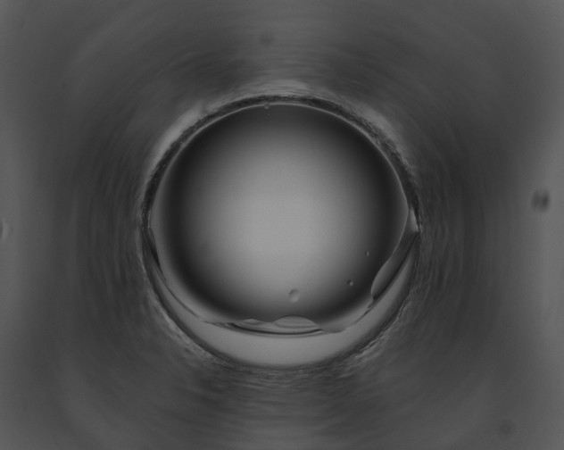 X0000091671326200708301451