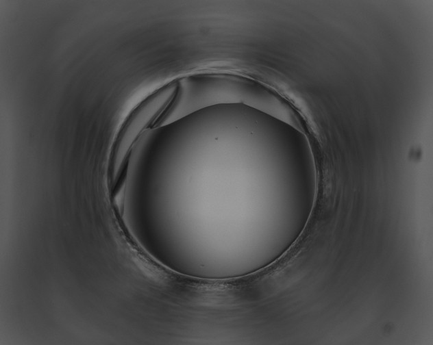 X0000091671328200708301451