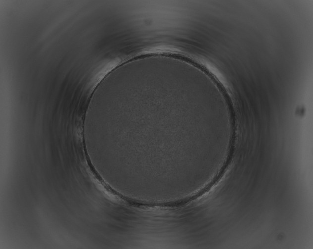 X0000091671329200708301451