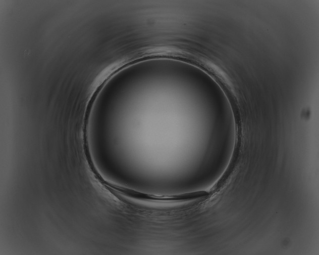 X0000091671330200708301451