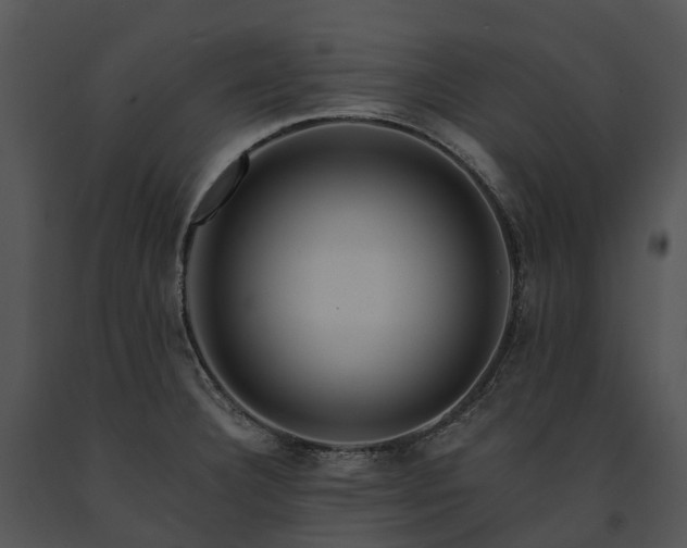 X0000091671332200708301451