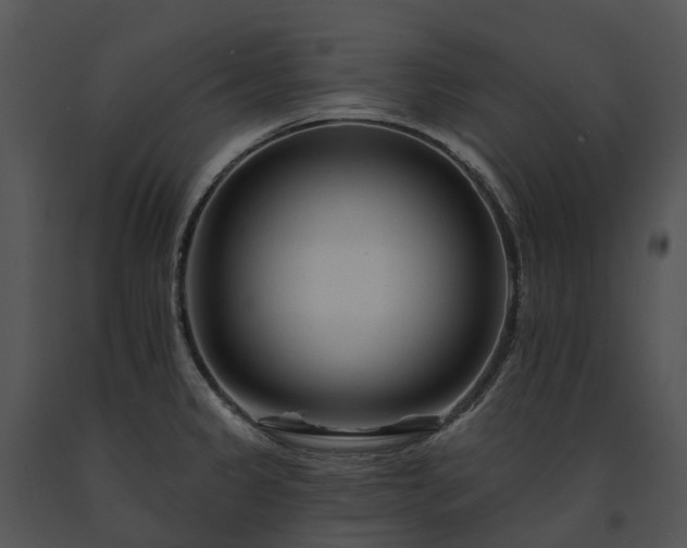 X0000091671333200708301451