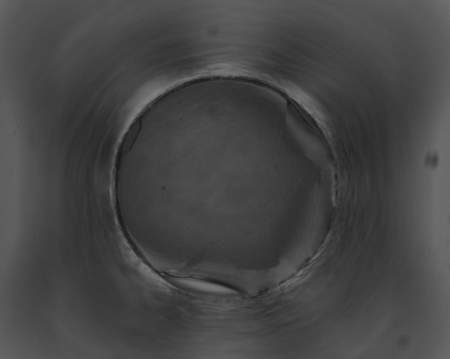 X0000091671334200708301451