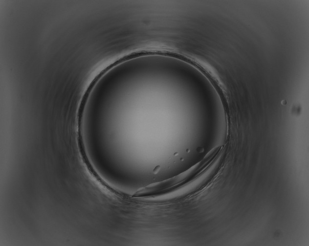 X0000091671335200708301451