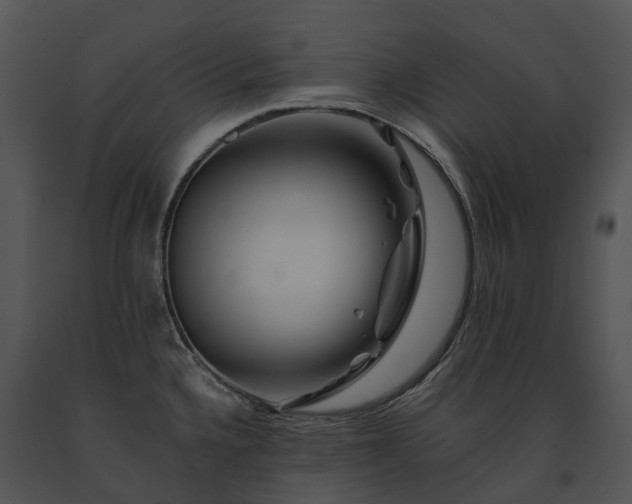 X0000091671336200708301451