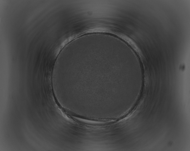 X0000091671337200708301451