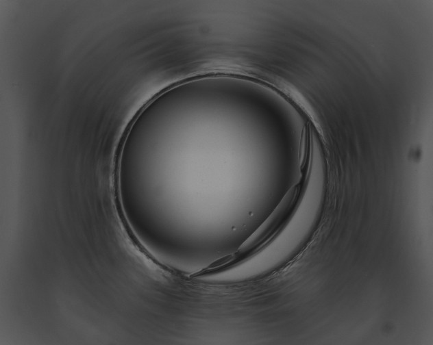 X0000091671339200708301451