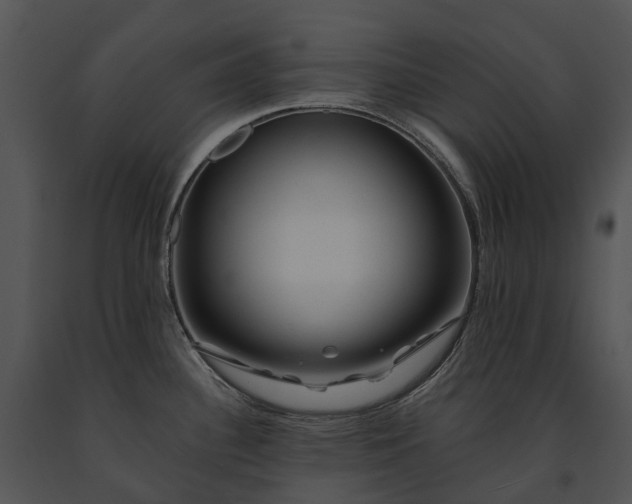 X0000091671340200708301451