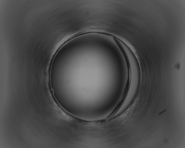 X0000091671341200708301451