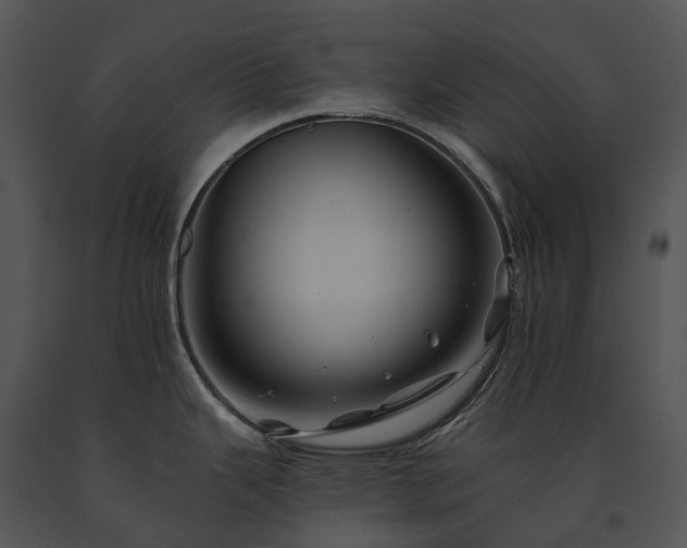 X0000091671343200708301451