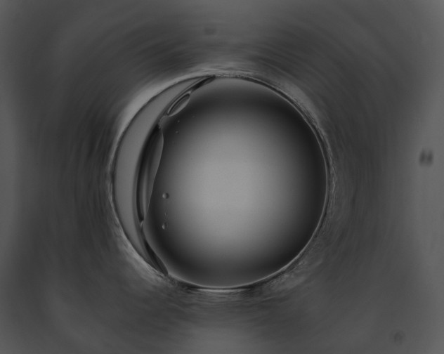 X0000091671344200708301451