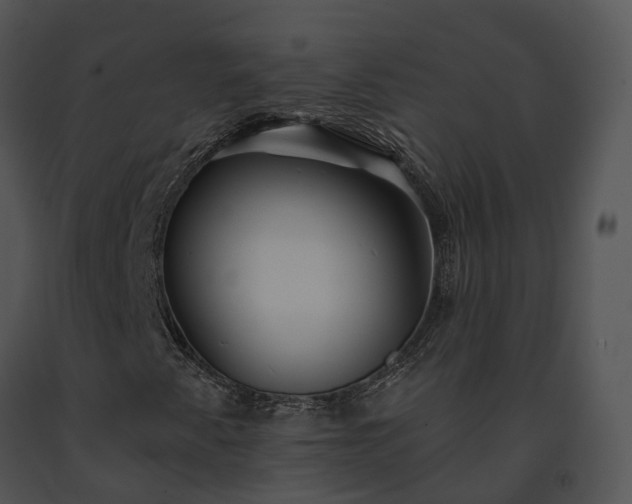 X0000091671345200708301451