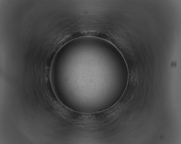 X0000091671346200708301451