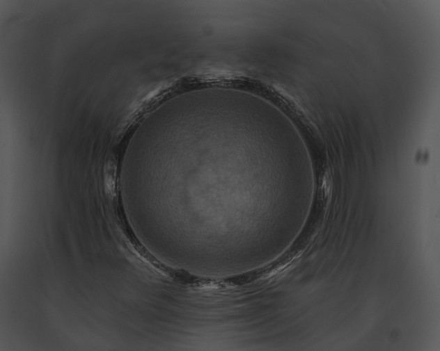 X0000091671348200708301451