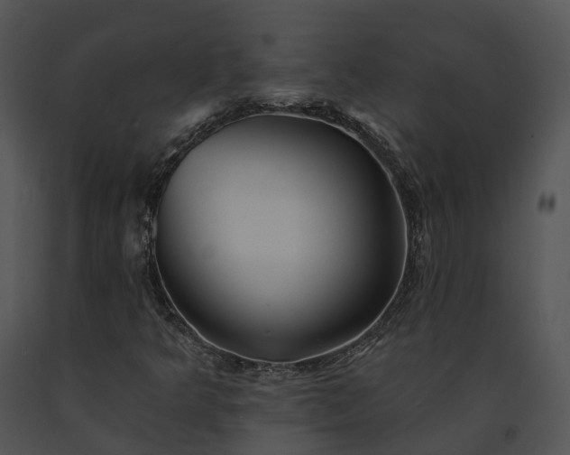X0000091671349200708301451