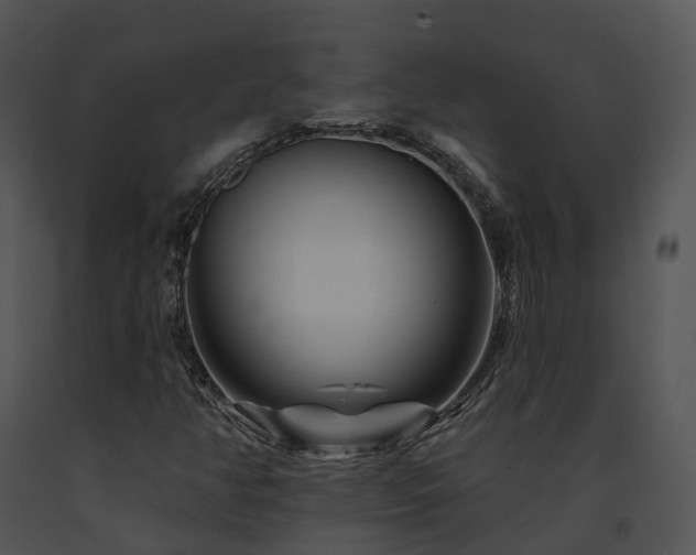 X0000091671350200708301451
