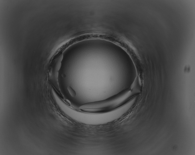 X0000091671352200708301451