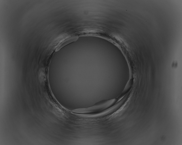 X0000091671353200708301451