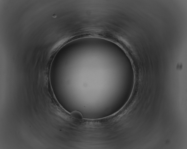X0000091671354200708301451