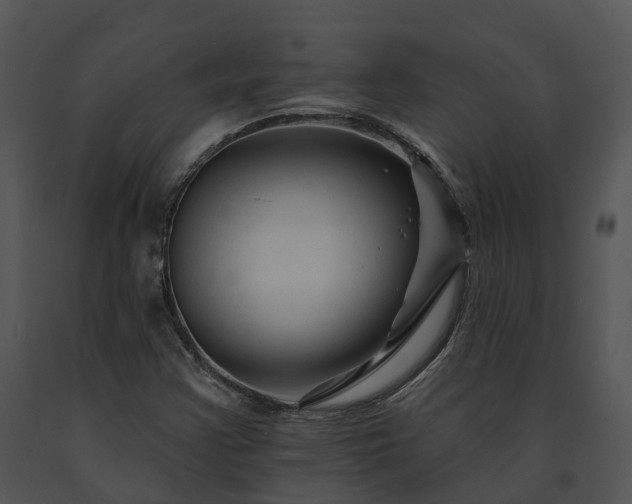X0000091671355200708301451