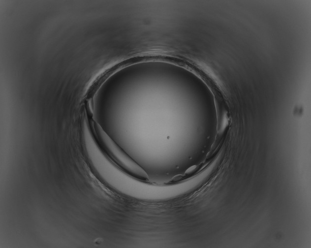 X0000091671356200708301451