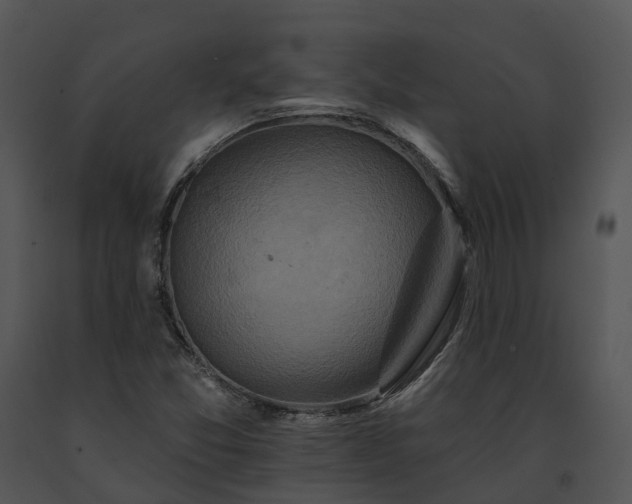 X0000091671357200708301451