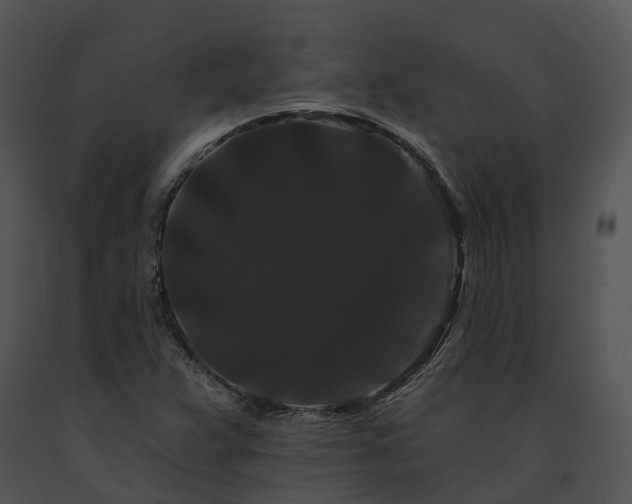 X0000091671359200708301451
