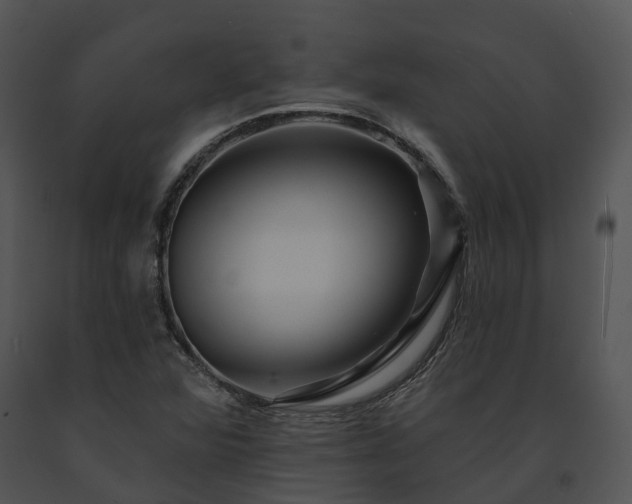 X0000091671360200708301450