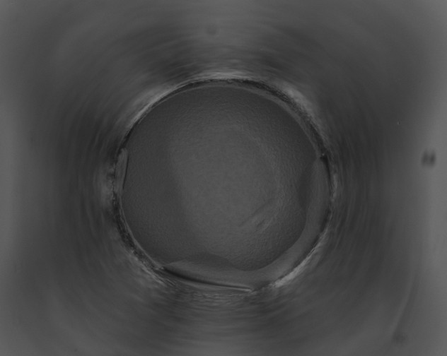 X0000091671361200708301450