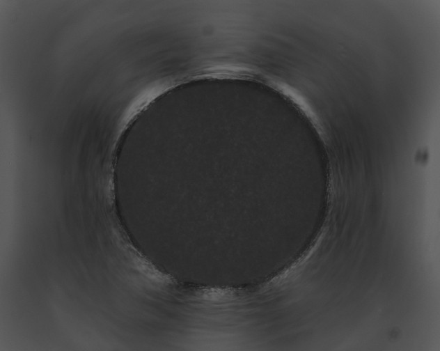 X0000091671362200708301450