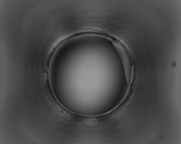 X0000091671363200708301450