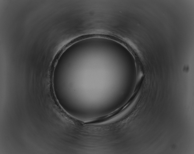X0000091671364200708301450