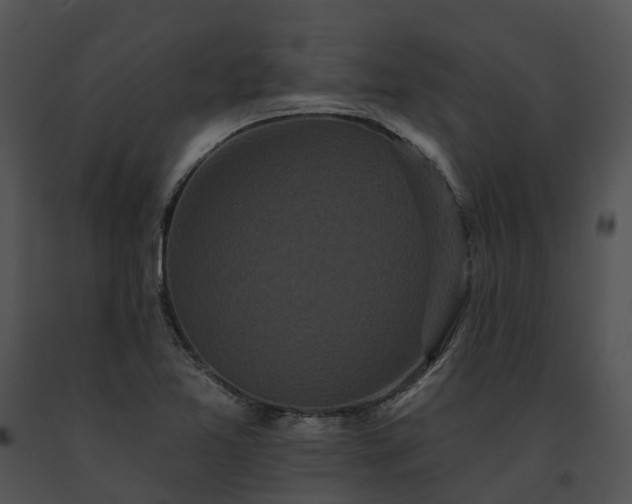 X0000091671365200708301450
