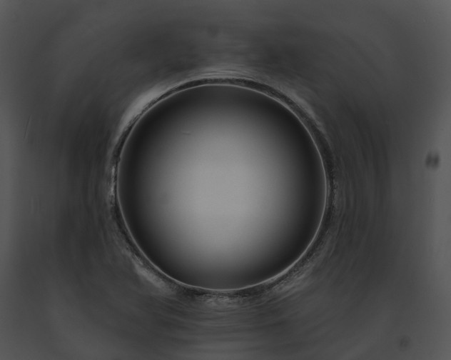 X0000091671366200708301450