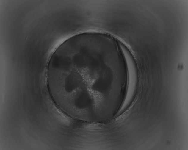 X0000091671367200708301450
