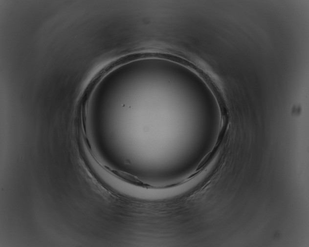X0000091671368200708301450
