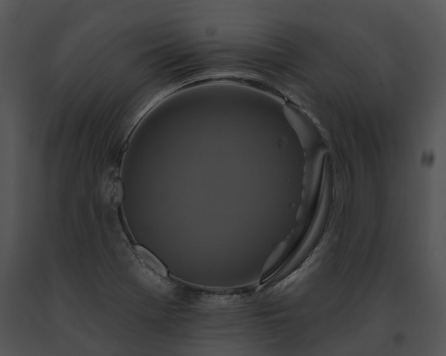 X0000091671369200708301450