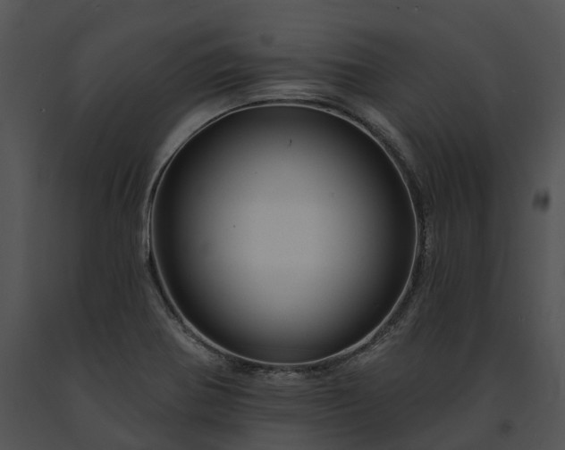 X0000091671370200708301450