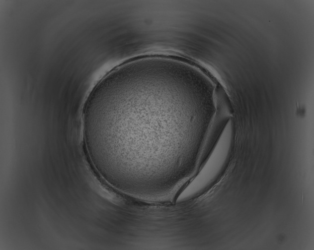 X0000091671371200708301450