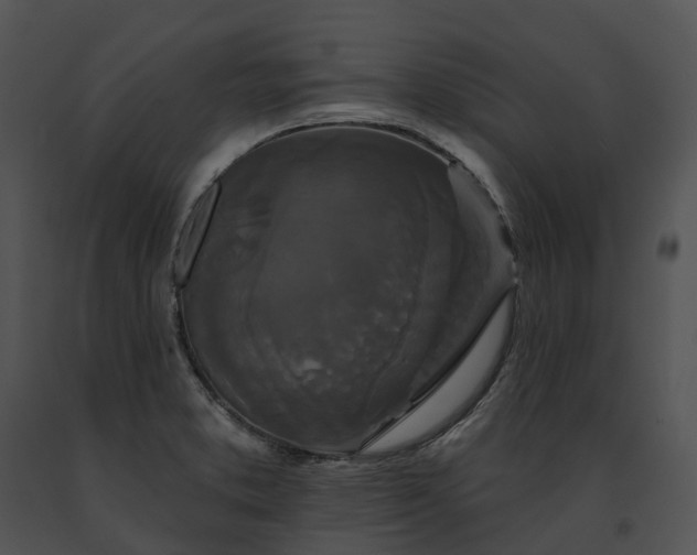 X0000091671373200708301450
