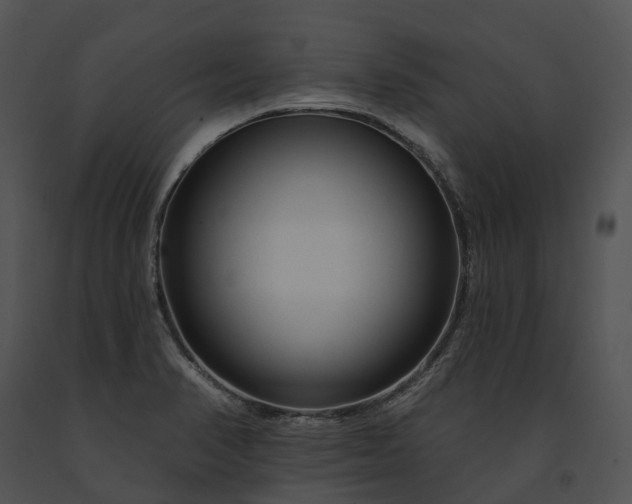 X0000091671374200708301450