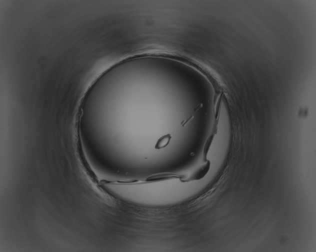 X0000091671375200708301450